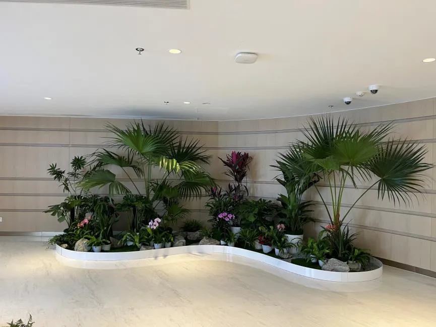 余姚绿植租摆价格实惠